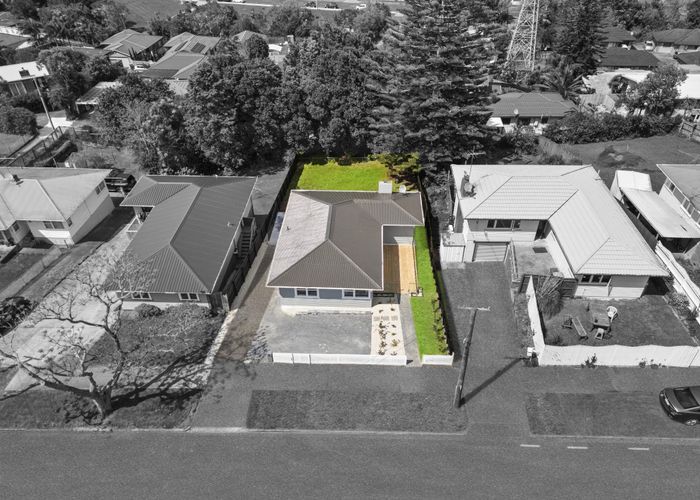  at 38 Mary Dreaver Street, New Windsor, Auckland City, Auckland