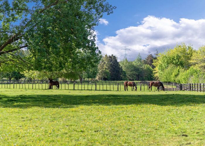  at 197 Papakura-Clevedon Road, Clevedon, Manukau City, Auckland