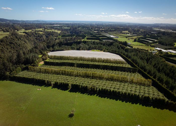  at 1044 Te Matai Road, Te Puke, Western Bay Of Plenty, Bay Of Plenty