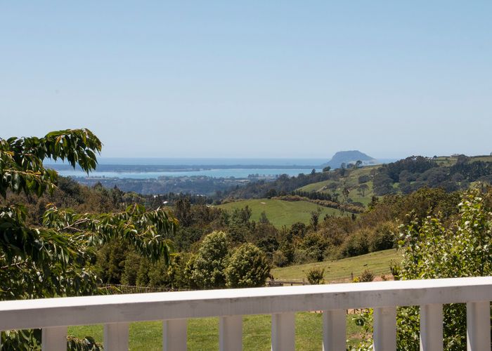  at 39 Goodall Road, Tauranga