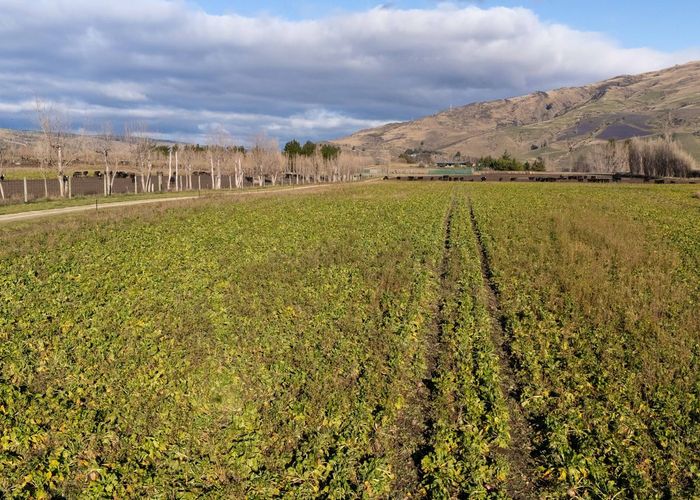  at 0 Mcelligott Road, Roxburgh, Central Otago, Otago