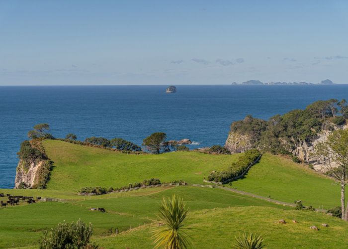  at 97 Orchard Road, Hahei, Thames-Coromandel, Waikato