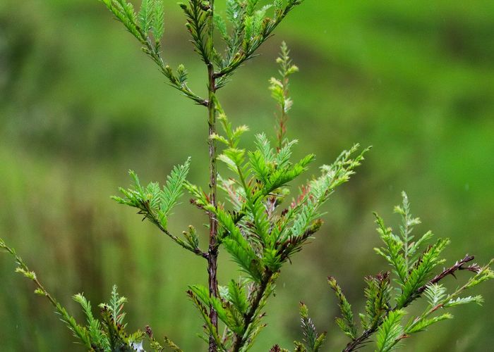 at 0 Warner Road, Takahue, Kaitaia