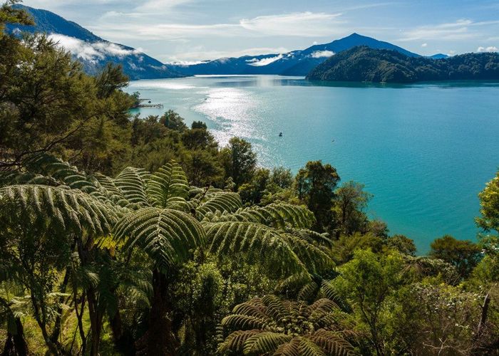  at Lot 11 Whatanihi Bay, Pelorus Sounds, Marlborough, Marlborough