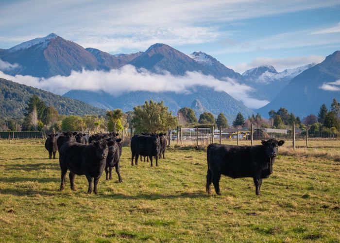  at 70 Hillside-Manapouri Road, Manapouri, Southland, Southland