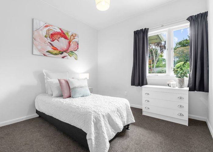  at 17 Rata Street, Maeroa, Hamilton