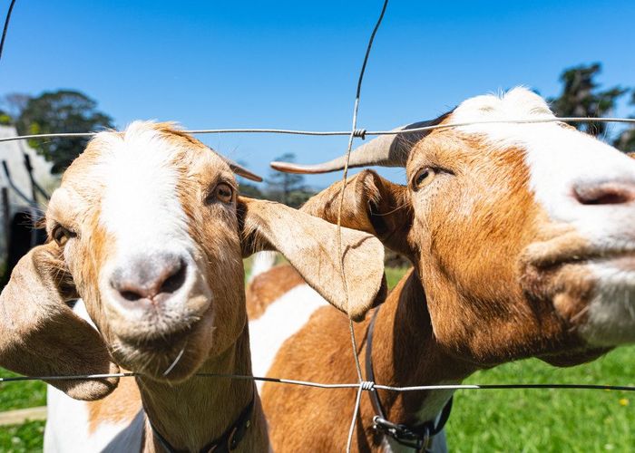  at 881 Whakapirau Road, Whakapirau, Kaipara, Northland