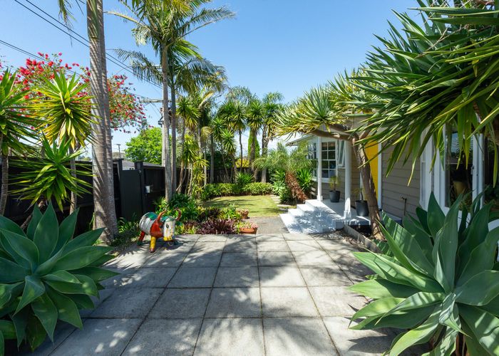  at 19 Maxine Place, Saint Heliers, Auckland City, Auckland