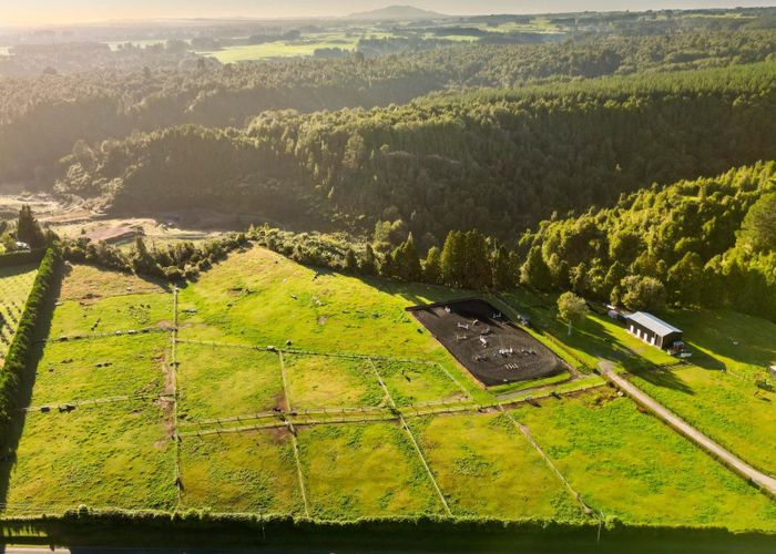  at 1235 Omanawa Road, Omanawa, Western Bay Of Plenty, Bay Of Plenty