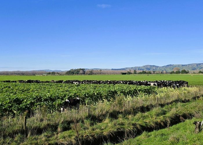  at 1556 Kahutara Road, Martinborough, South Wairarapa, Wellington