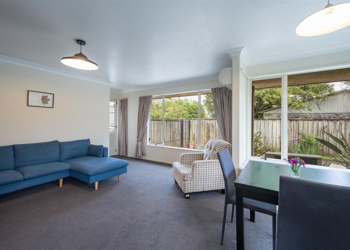  at 107B Milton Street, The Wood, Nelson