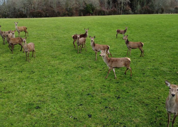  at 68 Dansey Road, Ngongotaha Valley, Rotorua, Bay Of Plenty