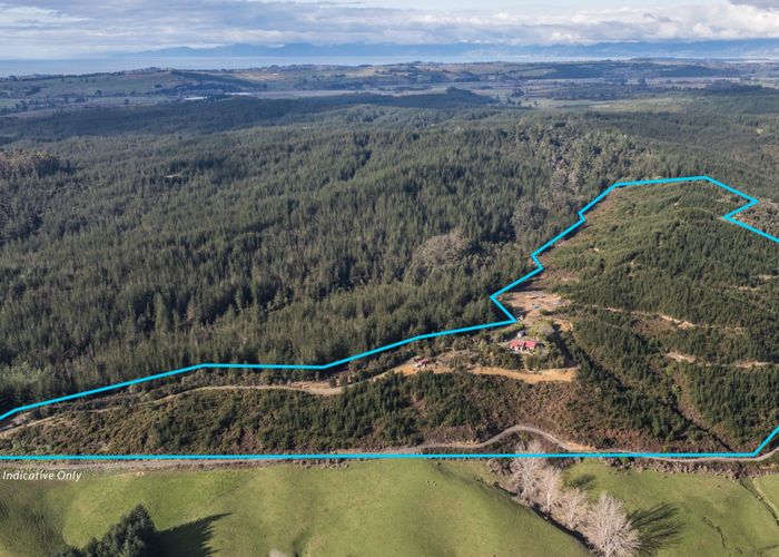  at 441 Waiwhero Road, Ngatimoti, Tasman, Nelson / Tasman