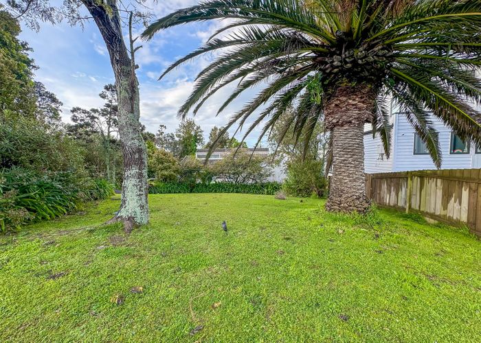  at 67 Sartors Avenue, Browns Bay, Auckland