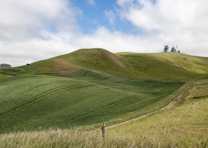  at Windsor, Waitaki, Otago