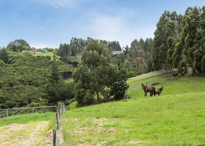  at 270 Chain Hills Road, Chain Hills, Dunedin