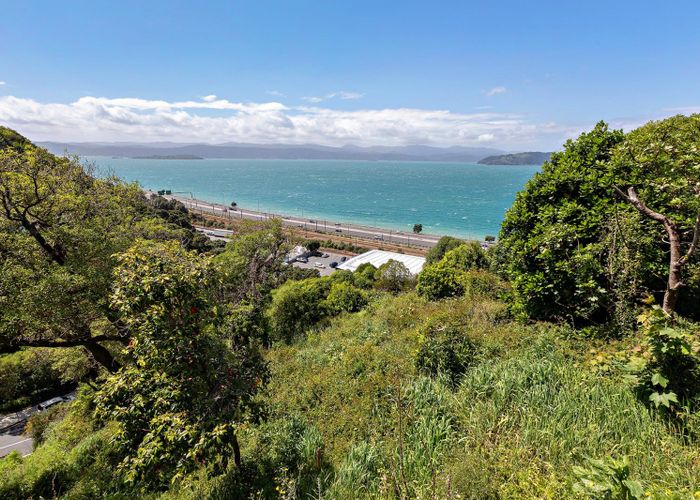  at 1A and 1B Rangiora Avenue, Kaiwharawhara, Wellington, Wellington