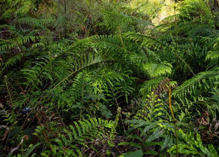  at 0 Waiwhero Road, Ngatimoti, Motueka