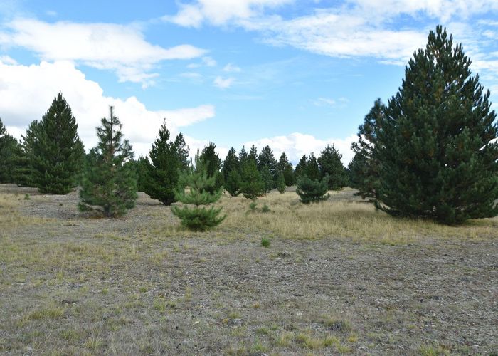  at 78 Flanagan Lane, Ben Ohau, Twizel