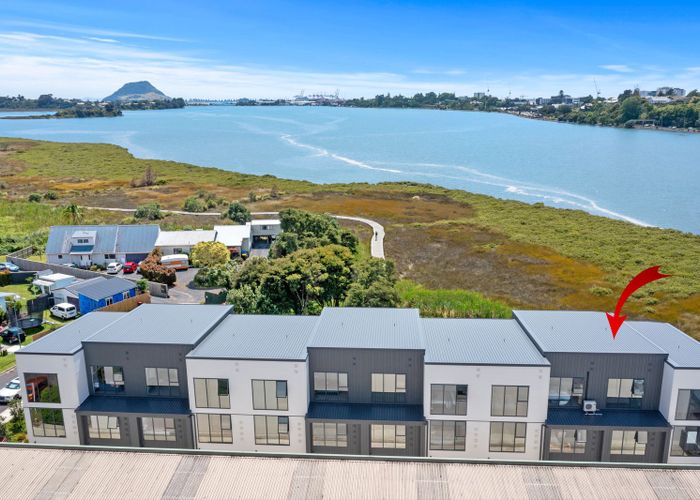  at 11/29 Montgomery Road, Judea, Tauranga, Bay Of Plenty