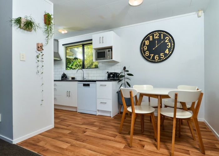  at 147B Rimu Street, Maeroa, Hamilton, Waikato
