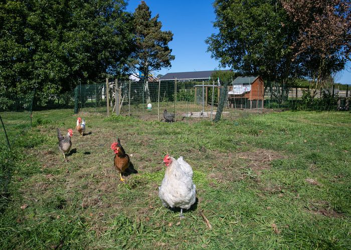  at 853 Frontier Road, Pirongia, Te Awamutu