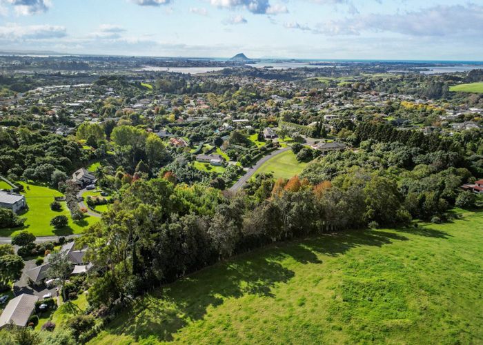  at 50 Upper Ohauiti Road, Ohauiti, Tauranga, Bay Of Plenty