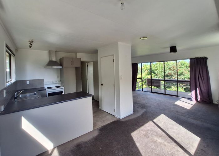  at 256 Ohauiti Road, Ohauiti, Tauranga, Bay Of Plenty