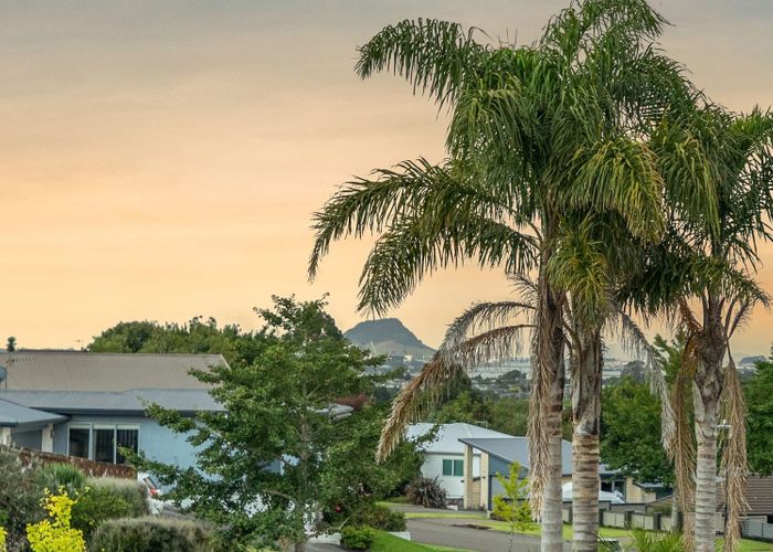  at 63 Buxton Place, Ohauiti, Tauranga, Bay Of Plenty