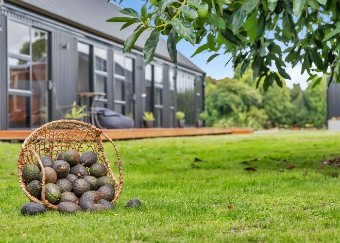  at 9 Corsair Drive, Whangarei