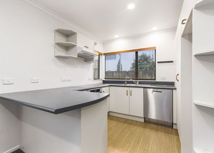  at 213A Massey Street, Frankton, Hamilton, Waikato