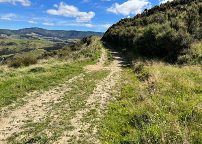  at 4080 Pahiatua Pongaroa Road, Pongaroa, Tararua, Manawatu / Whanganui