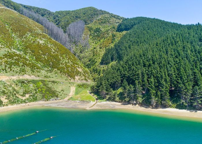  at 815 Manaroa Road, Marlborough Sounds, Marlborough, Marlborough