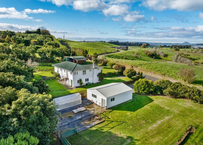  at 91 Morton Road, Aongatete, Western Bay Of Plenty, Bay Of Plenty