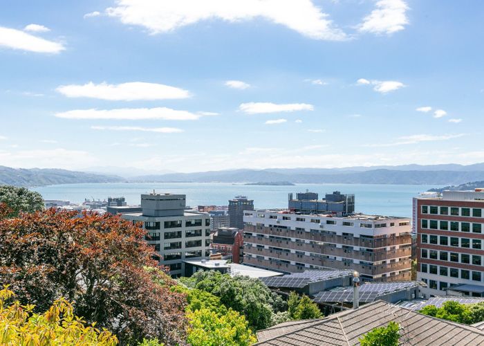  at 19A Central Terrace, Kelburn, Wellington, Wellington