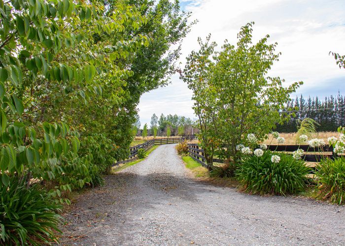  at 498 Park Road, Parkvale