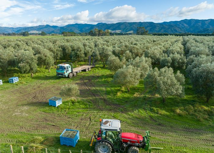  at 224A State Highway 53, South Featherston, Featherston