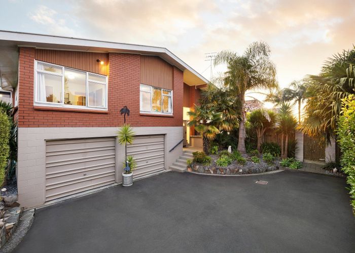  at 107 Newcastle Road, Dinsdale, Hamilton