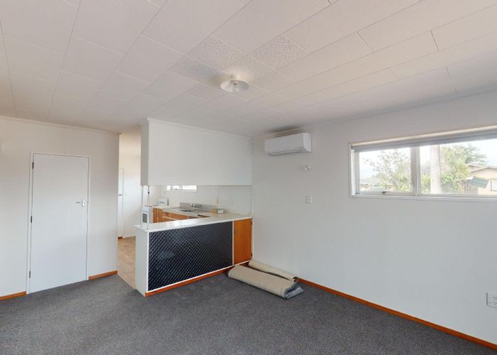  at 1/45 Albert Street, Terrace End, Palmerston North, Manawatu / Whanganui