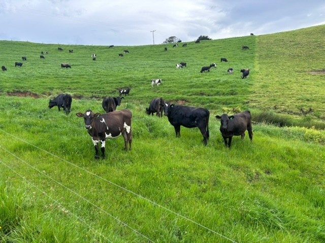  at 119 Ohanga Road, Onaero, New Plymouth, Taranaki