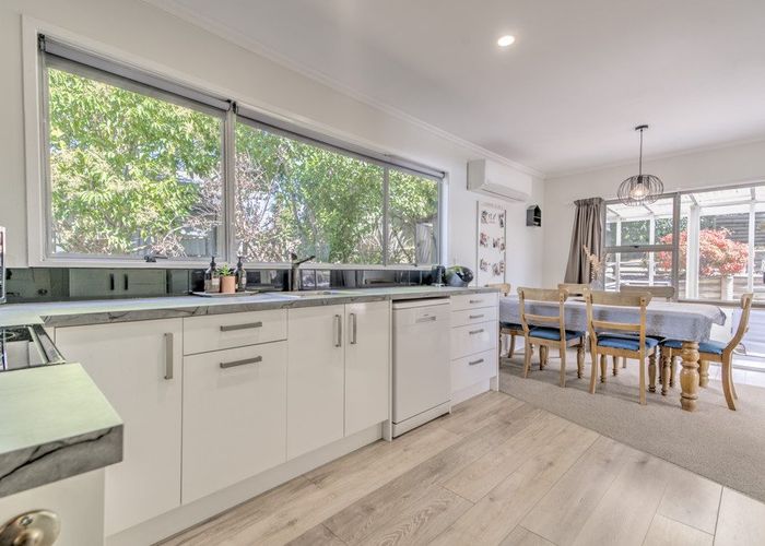  at 56 Hazelwood Avenue, Dinsdale, Hamilton
