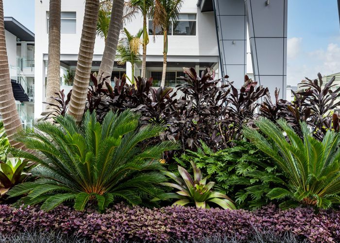  at Y18/30 York Street, Parnell, Auckland