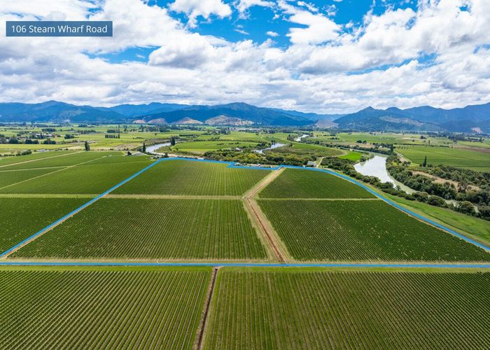  at 92 Lower Wairau Road, Grovetown, Marlborough, Marlborough