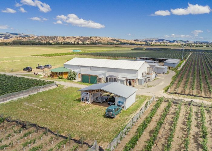  at 359 Dakins Road, Carterton, Carterton, Wellington