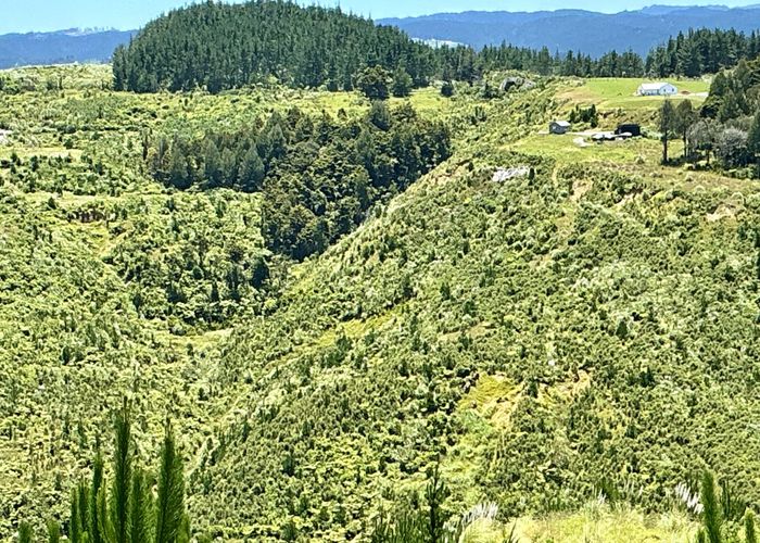  at 103 Dill Road, Kaipara Flats, Rodney, Auckland