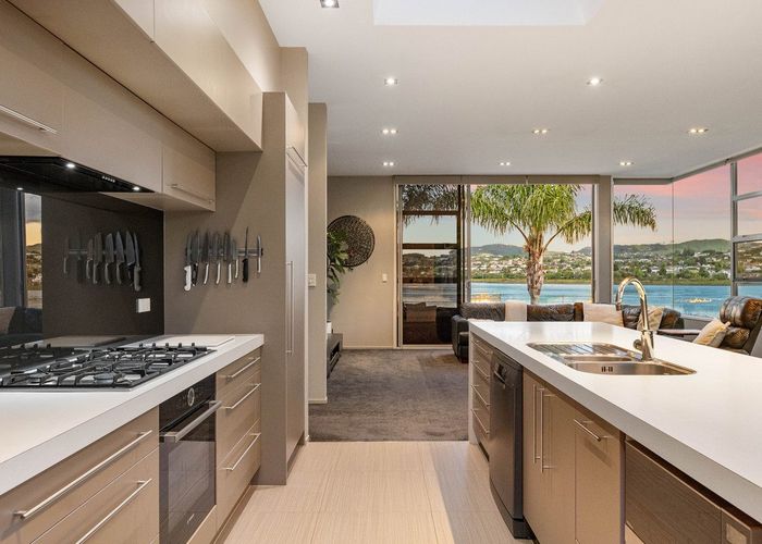  at 15 Fantail Drive, Maungatapu, Tauranga, Bay Of Plenty