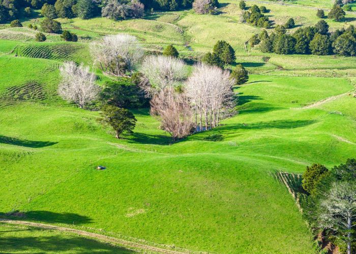  at Lots 2 and 5 Leslie Road, Maungakaramea, Whangarei, Northland