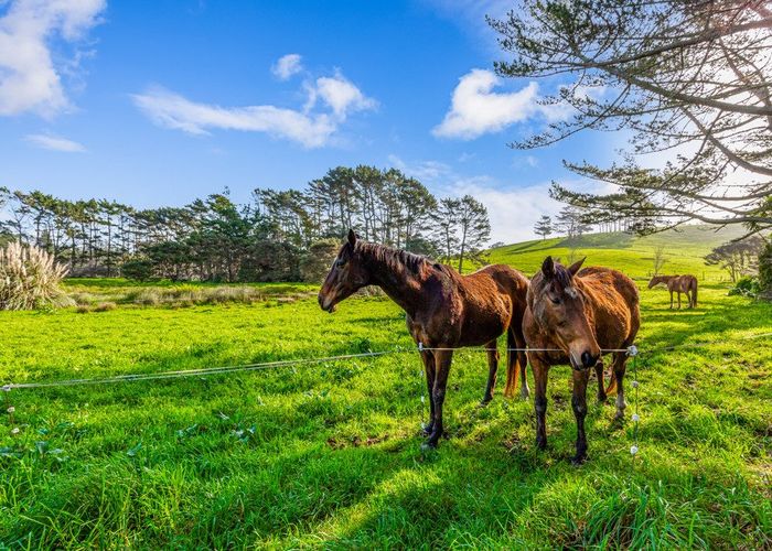  at 276 Taiapa Road, Muriwai Beach, Rodney, Auckland