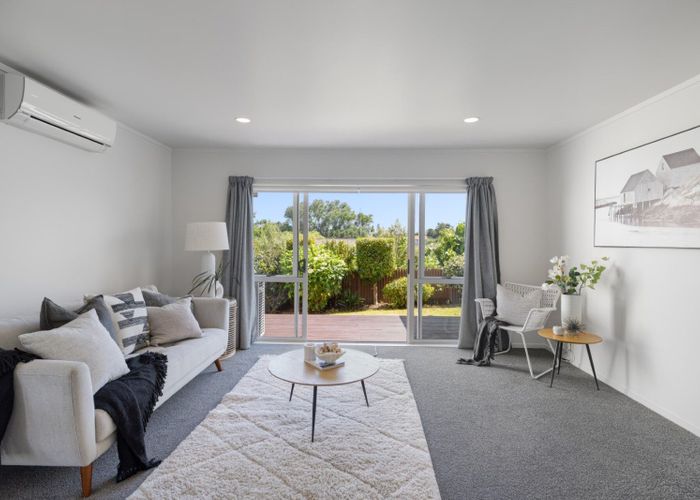  at 45A Harrier Street, Parkvale, Tauranga