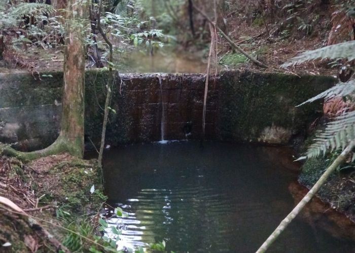  at 41 Pinehill Road, Pakaraka, Far North, Northland